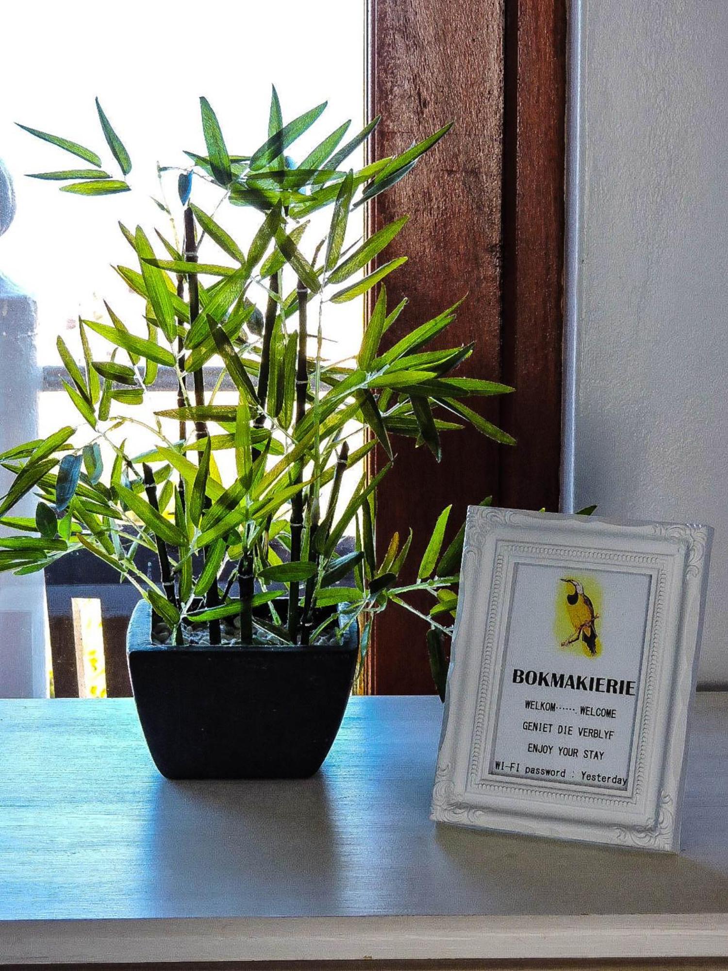 Amzee Bokmakierie Guest House Dana Bay Kültér fotó